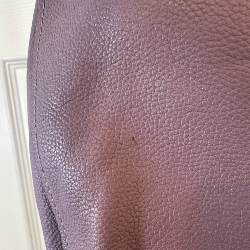 Coach Clarkson Hobo Lavender Pebbled Leather Bag - Picture 3 of 16